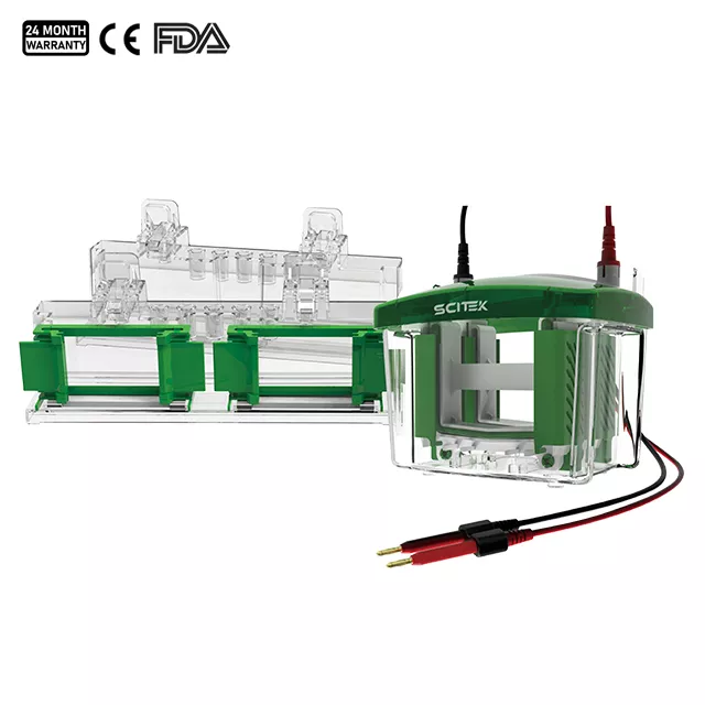 Vertical Electrophoresis Tank ET-V04